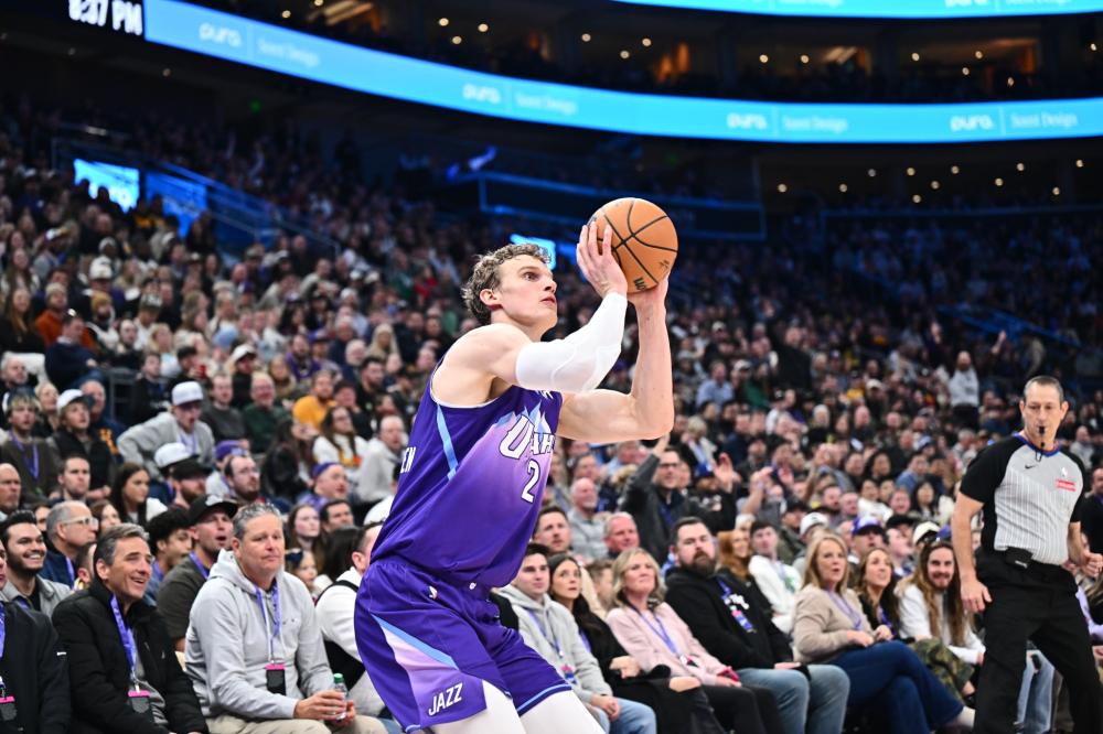 可替代的存 可替代的存